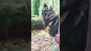 [Vlog]Hiking with Kelly