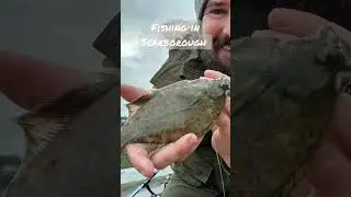 Sea fishing in Scarborough #fishing #seafishing #flatfish #subscribe #viral #like