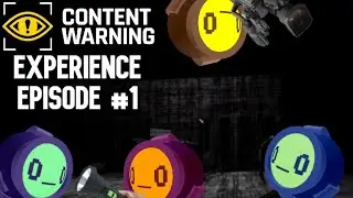 The Content Warning Experience