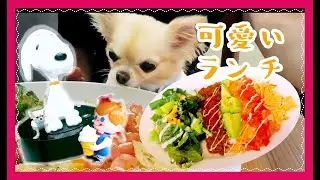 犬と一緒の可愛いランチ 🌮南町田グランベリーパーク🌲チワワ〜Cute lunch with dog 🐶Minami Machida Granberry Park 🌻Chihuahua