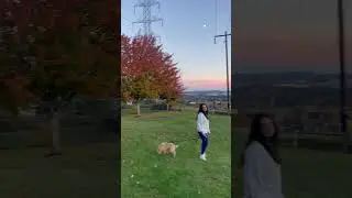 Harnessed by Beauty: Grace&rsquo;s Sunset Walk in Fall#tamil #kidsvideo #trendingshorts #sunset