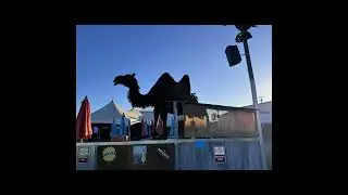 Rialta Powered  - St. Pete to the Rubber Tramp Rendezvous in Quartzite Arizona