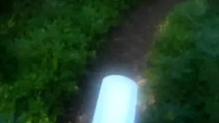 Offroad rijden in de bossen van Norg