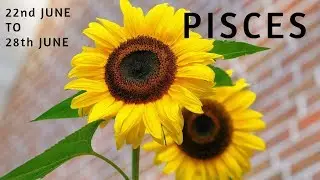 PISCES THIS JOB WILL TRANSFORM YOU | 22ND TO 28TH JUNE 2020