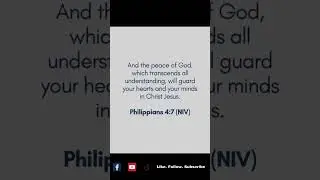 Jesus is the TRUTH, the WAY, and the LIGHT.