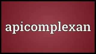 Apicomplexan Meaning