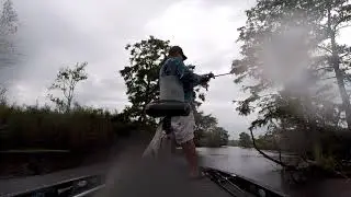 Back Bay Bass Fishing