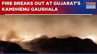Gujarat News: Massive Fire Breaks Out At Kamdhenu Gaushala; Several Fire Tenders At Spot | WATCH