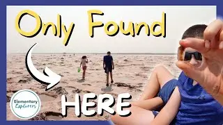 Digging for Hourglass Selenite Crystals - Only Found Here!! - Great Salt Plains State Park-OK
