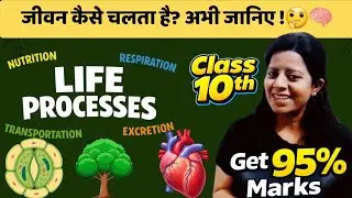 Life processes Ch-5| Class 10th Science | One Shot revision| Board exams 2026