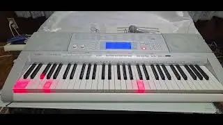 LK-207　となりのトトロ