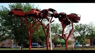 Parque los vochos
