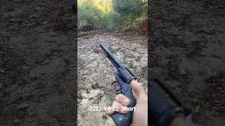 Сравнение 22Lr и 22 Short Sound