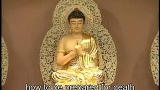 Liberation from samsara: the Pure Land method of reciting Amitabha Buddha's name(GDD-1153)DVD