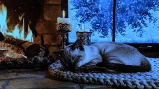 ❄️ 12 Hours Live Winter Cat Dreams 😺 Soft Purring by Candlelit Window &mdash; Peaceful Holiday Sleep