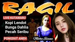 KOPI LENDOT-BUNGA DAHLIA-PECAH SERIBU-RAGIL Pongdut