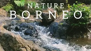 Beautiful Nature Indonesia | River Sounds Original