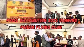 Diamond pigeon flying club tournament prize distribution | #pigeonhs #pigeon #shortsviral #kabootar 