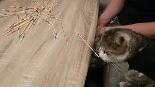 Fienchen spielt mit uns Mikado