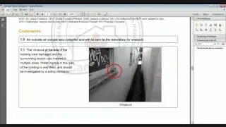 Fairbairn Inspection Services &ndash; Vancouver Mold Inspection &ndash; What&rsquo;s Included