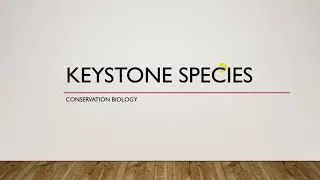 Keystone species and their role in ecosystem | Key stone species examples |What is key stone species