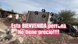 ESTA BIENVENIDA PERRUNA, NO TIENE PRECIO 