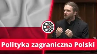 Dobromir Sośnierz  - Informacja Ministra Spraw Zagranicznych