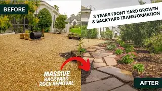 3-Year Front Yard Growth & Backyard Rock Removal | Jacksonville Florida | Earth Works