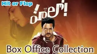 Hello Worldwide Box Office Collection | Akhil Akkineni | 23 Dec 2017