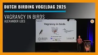 DBVogeldag 2025 - Vagrancy in Birds