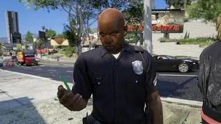 NYPD How Many Stops Act Parody (GTA Machinima)