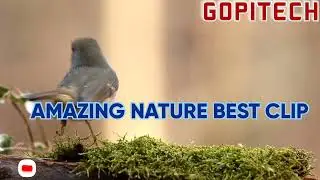 Virtual Nature 360&deg;- 5.7k Nature Meditation For Oculus Quest