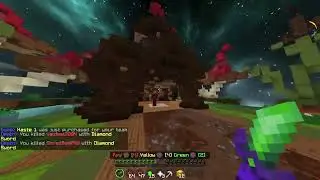 Casual Mineplex Cakewars