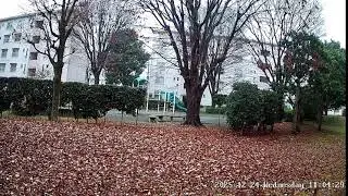 埼玉県坂戸市溝端町ライブカメラ Saitma Sakado Live camera.world.cam