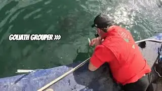 STOP Feeding FISH Like This Before You Regret It Forever