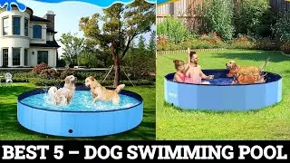 TOP 5 Best Dog Swimming Pool, Best dog Swimming Pool Reviews 2024