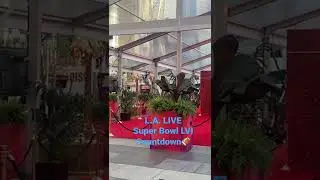 Super Bowl LVI countdown