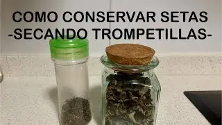 COMO CONSERVAR LAS SETAS SEC&Aacute;NDOLAS￼