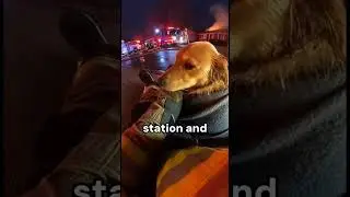 You won't belive what this firefighter did!