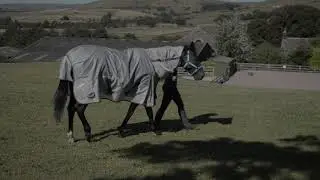 Fieldmasta Fly Rug