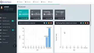 Synergy Traffic как работать  Что делать с бонусом 500 поинтов