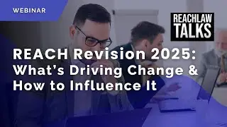REACH Revision 2025: What&rsquo;s Driving Change and How to Influence It