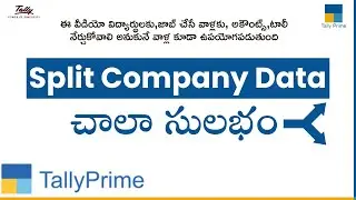 How to Split Company Data in TallyPrime | Verify Company Data |
