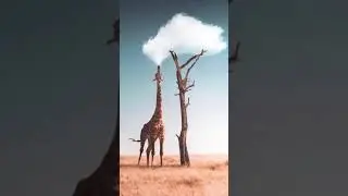 VAPING GIRAFFE // 420  ☁️🦒 NFT Artwork