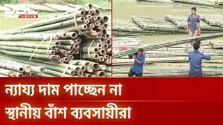 ন্যায্য দাম পাচ্ছেন না রাঙামাটির বাঁশ ব্যবসায়ীরা | DBC NEWS