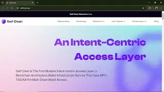 Is Self Chain (SLF) Token Legit Or a Scam ??