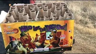 Legend Fireworks: Who Let The Dogs Out 500g DEMO