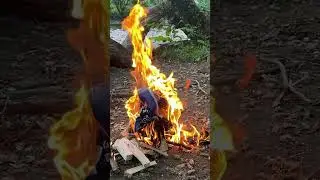 Plastic bag melting in fire