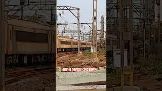 Vande Bharat Express crosses two veterans of I.R.!!! #wag7m #vandebharatexpress #indianrailways
