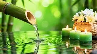 Healing Piano & Bamboo Water Sounds | 癒しの自然音